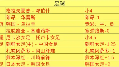 网警依法查处2起，澳门银河登录，涉吉隆泥石流网络谣言案件